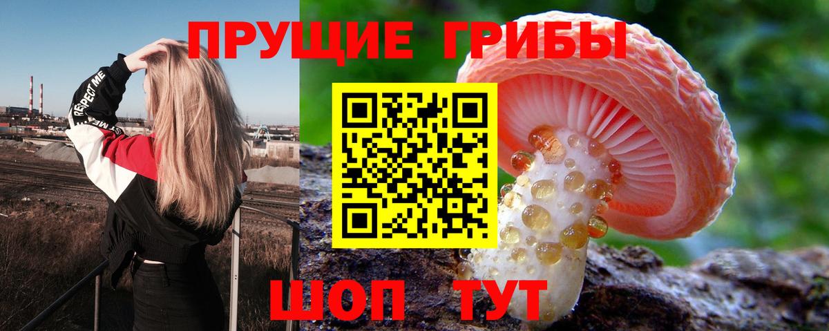 Галлюциногенные грибы MAGIC MUSHROOMS  как найти наркотики  Вход с VPN  Магнитогорск  Псилоцибиновые грибы прущие грибы 