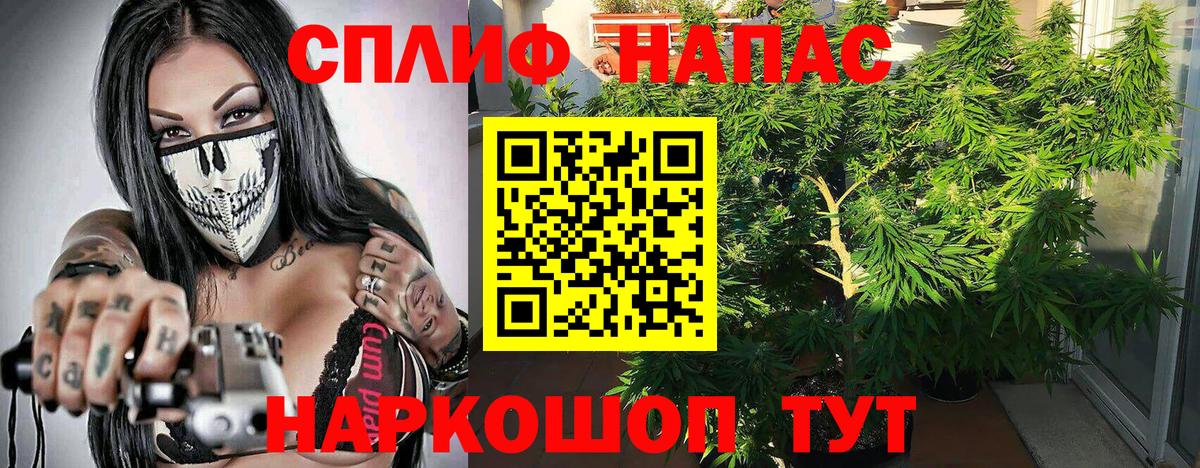 Марихуана тримм  Вход с VPN  Магнитогорск  Бошки Шишки Amnesia  Каннабис планчик 